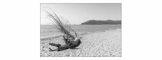 Fototapeta Plaża Morze Piasek 210 x 315