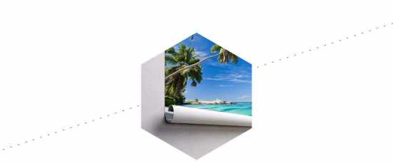 Fototapeta Plaża Ocean Palmy 60 x 90 /32258072