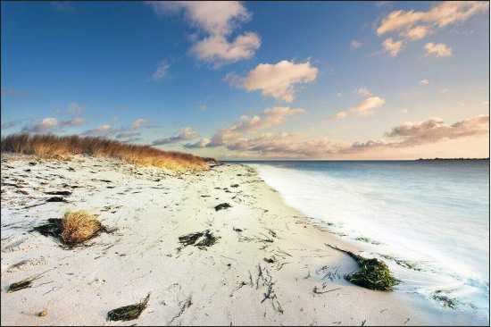 Fototapeta Plaża Morze Wydmy 60 x 90 /43619307