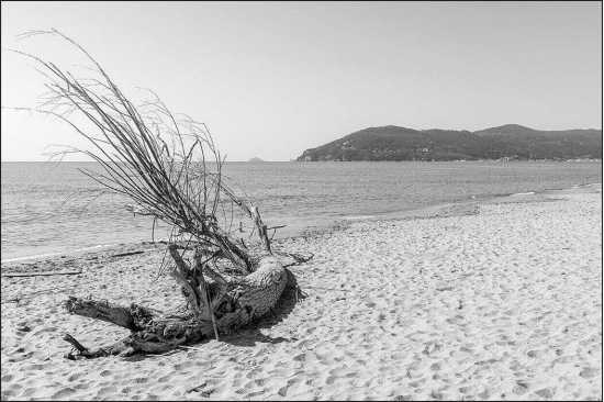 Fototapeta Plaża Morze Piasek 240 x 360 /140903632