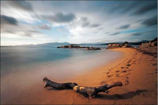 Fototapeta Plaża Morze Piasek 60 x 90 /91503988